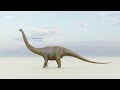 Dinosaur Size Comparison 3D