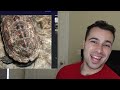 Biologist Reacts To BAD TURTLE TANKS!
