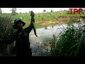 Fishing snakehead Mangyang Dam every time you fish, there will be fish @ TRUNG PLEIKU FISHING.