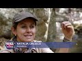 La resiliencia del pueblo arhuaco en Colombia