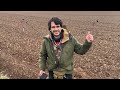 Coins coins and more coins metal detecting the fields of Perthshire, Scotland #metaldetecting