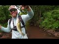 Dollar General Gear ONLY Fishing Challenge (DG Creek Adventure)