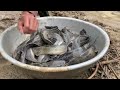 Incredibly amazing!  Men catch more fish in long, dry canals today