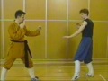 Shaolin Kung Fu: small Hong Quan combat applications