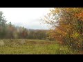 Vermont Fall foliage. Oct. 20, 2023.