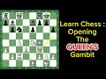 Learn the Queen's Gambit | Chess Opening