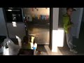 Tirana fridge cleaning