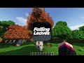 THE BEST 21 Client Side Minecraft Mods︱1.21 (Works on any server)︱Forge & Fabric