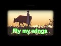 fly my wings