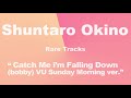 【Rare Tracks】Catch Me l'm Falling Down(bobby) - Velvet Underground 