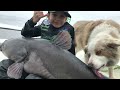 Epic fish fight. Rod Overboard! 7 yr old breaks lake record on his birthday!