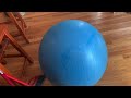 Dog Fur on My Yoga Ball