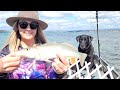 Lake Macquarie's best fishing spot | Let's Fish Lake Mac Comp | Tinny | Whiting | Flathead | Bream