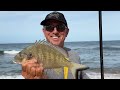 Beach Whiting and Bream Strategies That Work