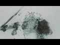DJI Mavic Air 2 | 4K Cinematic Drone Video | Winter times at Lake of Constance