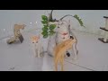 Adorable Pets Doing the Funniest Things 😹🐕 Best Funniest Animals Video 2024 🐈🐈