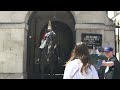 Watch King's Guard Horse Surrounded by Kids - But Wait Till Guard Off Duty Arrives!