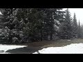 Whistler snowscape