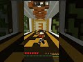 Playing Elytra Elite : Level 2 | #ASshorts #shorts