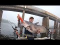 I Caught Something Big Under This Railroad Bridge