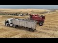 St. John Wheat Harvest Short Film 2024