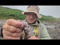 On the species hunt again - Anglesey Rock Fishing