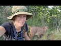 How will caracal Lucca react to his enrichment? South African sanctuary life