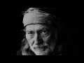 Cruel Cruel World - Willie Nelson