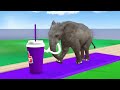 sea animals+ entertainment 13+ dinosaur horse tiger lion zebra cow spider deer leopard. Animals Demo