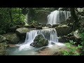 Refresh Yourself With The Sound Of Streams Flowing | Relax Music