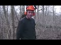 Dangerous Felling 500-year-old Tree Huge Chainsaw Machines, Fastest Cutting Down Big Tree Working