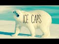 Ice Caps -  ⱫɎⱤØ