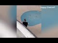 Funny Videos Compilation 🤣 Pranks - Amazing Stunts - By Happy Channel # 44