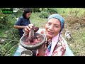 makan nasi liwet yang enak banget di atas daun di pinggir sawah