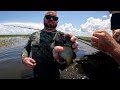 Bluegills, Gators and Huge Turtles (13ft Boat with a 480hp Engine) Catch & Cook