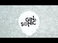 Artemas - i like the way you kiss me (Gin and Sonic Remix)