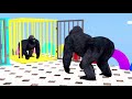 Long Slide Game With Elephant Gorilla Buffalo Hippopotamus Tiger - 3d Animal Game - Funny 3d Animals