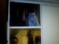 chat roulette fun