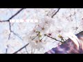優里 『桜晴』Lyric Music Video（1コーラスver.）