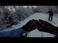 Cross-Country Skiing in Helsinki, Paloheinä