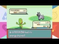 pokemon emerald episode 4 