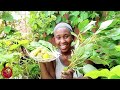 Eating FAST FOOD from a SMALL garden In my Backyard: Eat What You Grow!