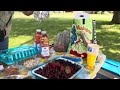 Family PicNic #PicNic #ASMR #Sights #Family #Sounds #SoothingWaterSounds #Foodies