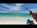 Tiny Rod Takes Massive Hit! Then Catches This Surf Fishing