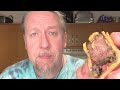 I TRIED TO MAKE MINI-WELLINGTONS OUT OF VENISON & WAGYU | ALL AMERICAN COOKING #cooking #recipe
