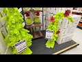 HOBBY LOBBY CHRISTMAS 2024 DECOR SHOP WITH ME THE GRINCH CHRISTMAS IN JULY