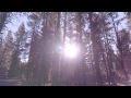 Wilderness Areas on the Dixie National Forest in Utah