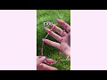 ✨🌸 Clay Bead Bracelet TikTok Compilation 🌸✨ #1 | Bracelet Making TicToks