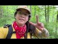 Solo hiking: Gunpowder State Falls Park in Maryland