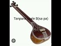 Tanpura(तानपुरा) scale B